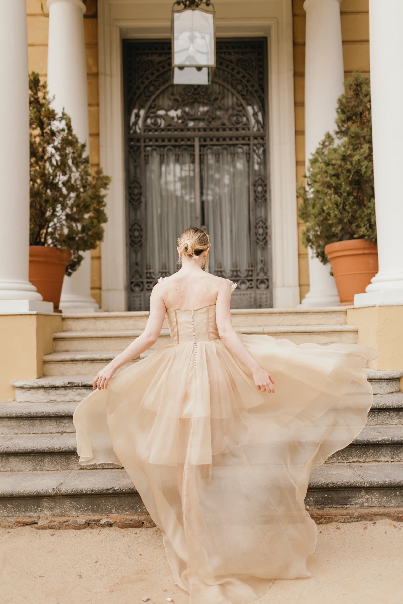 Look Aurora — Organza · Drapeado de espalda